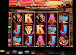 开云足球手机版