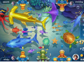 开云足球客户端